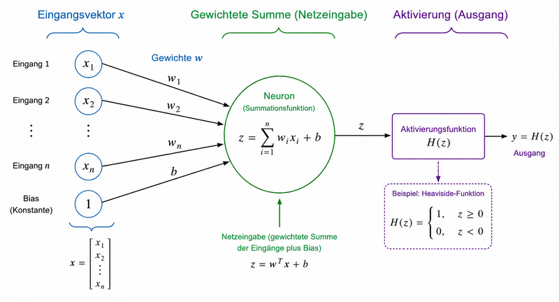 Datei:NeuronSchema.png