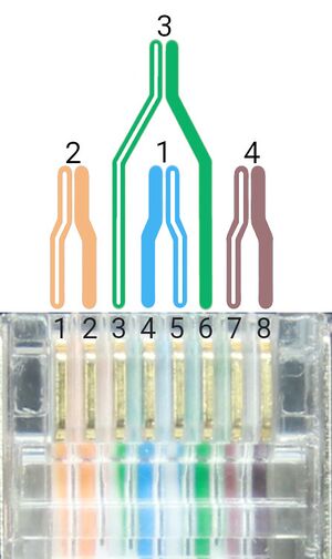 RJ45 Stecker Belegung.jpg