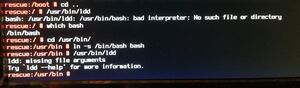 Kernel Panic Loesungsschritt ldd bash.jpg